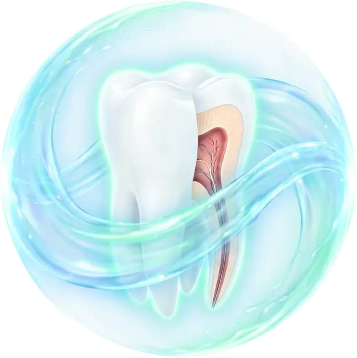 imageye___-_imgi_34_tooth